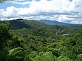 Waimangu Valley