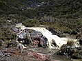 Silica Rapids, Tongariro NP
