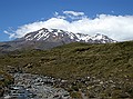 Mt Ruapehu, Tongariro NP