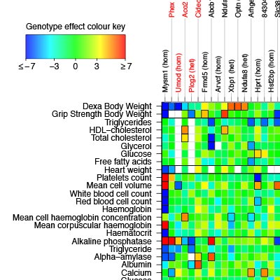 Bayesian inference in high-throughput phenotyping