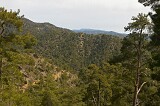 Pafos/Troodos forest and Mount Olympus
