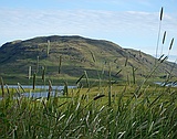 View from Sklholt