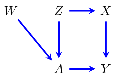 An example of a directed acyclic graph over vertices $\T, Z, W, \X, Y$.