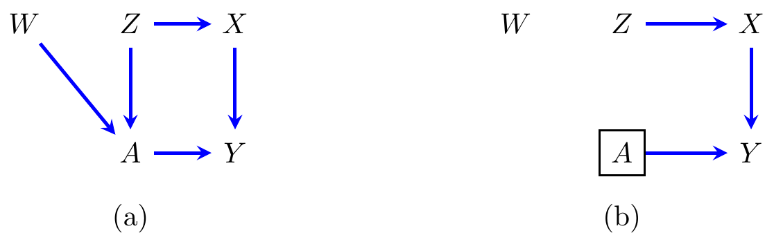 (a) An example of a causal directed acyclic graph over vertices $\T, Z, W, \X, Y$. (b) The result of performing a 'do' intervention on $\T$.