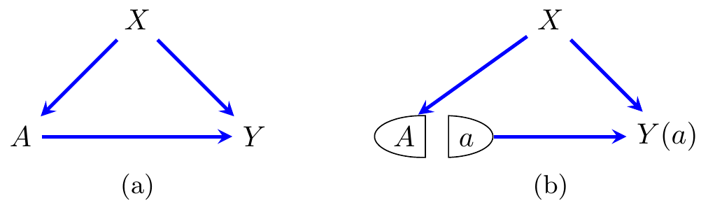 (a) A SWIG with no interventions, and (b) after an intervention on $\T$.