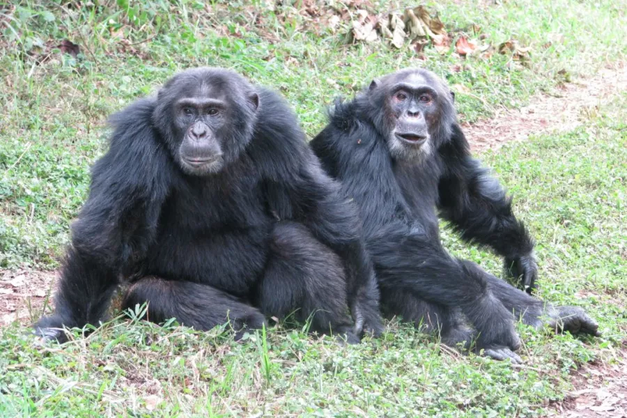 Morton (Central) and Garrison (West) 1. Credit: John Mitain