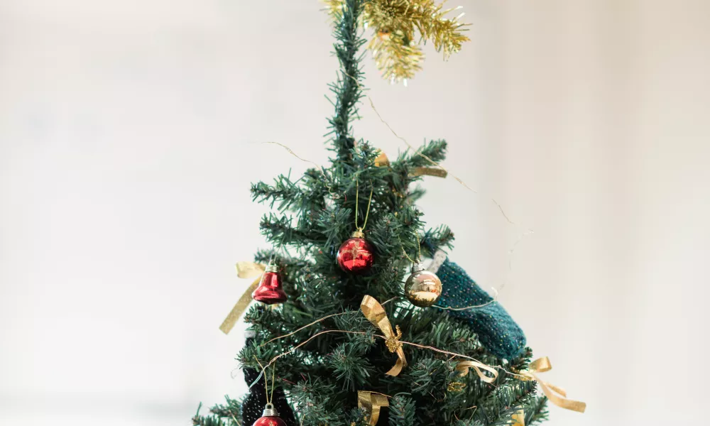 A small decorated Christmas tree